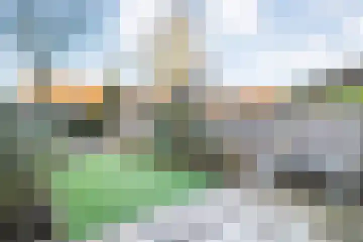 Rolklaver 113 Kampen thumbnail 32
