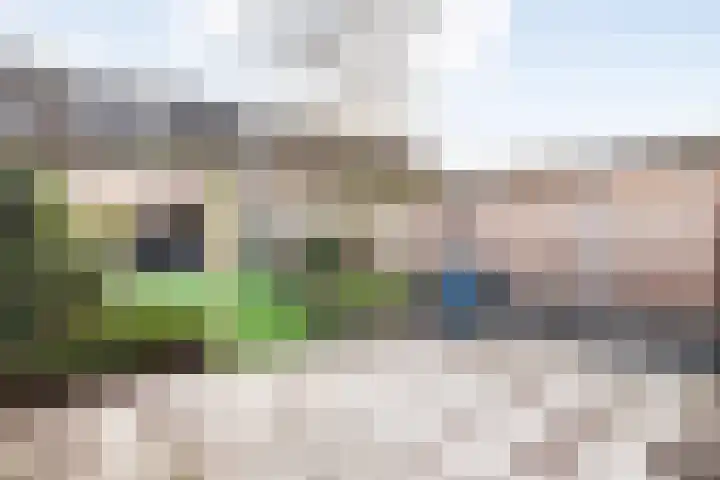 Rolklaver 113 Kampen thumbnail 33