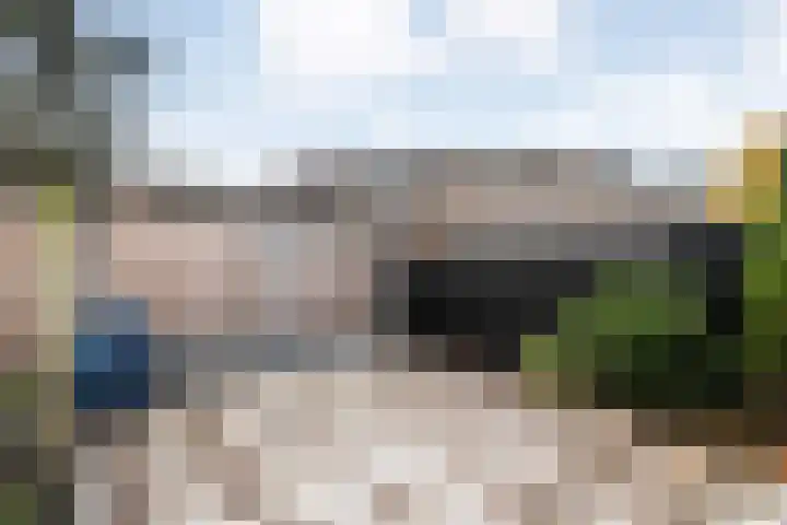 Rolklaver 113 Kampen thumbnail 35