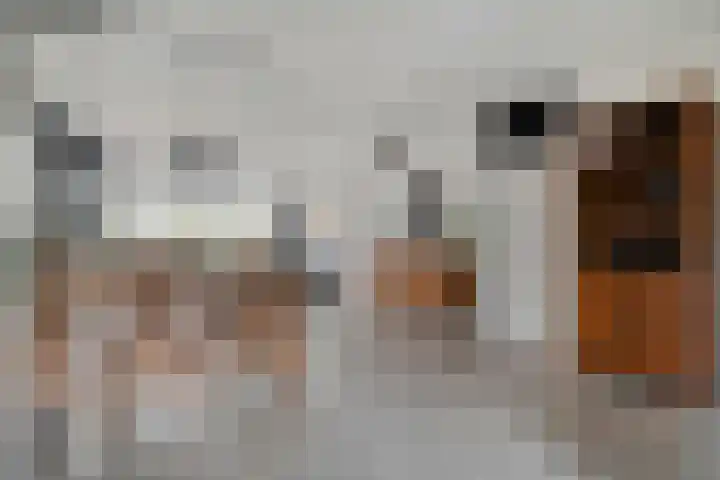 Rolklaver 113 Kampen thumbnail 9