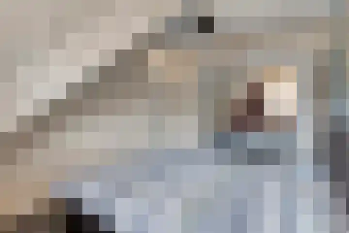 Rolklaver 136 Deventer thumbnail 15