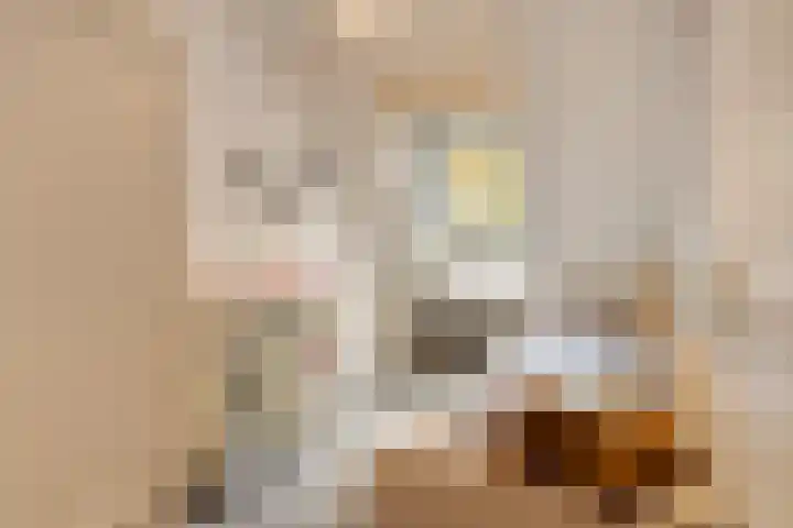 Rolklaver 136 Deventer thumbnail 18