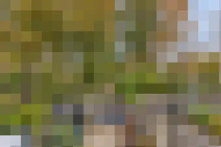 Rolklaver 136 Deventer thumbnail 20