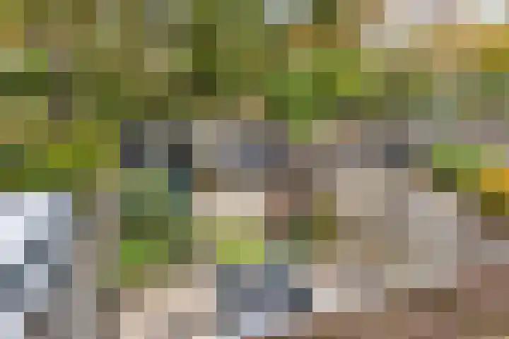 Rolklaver 136 Deventer thumbnail 21