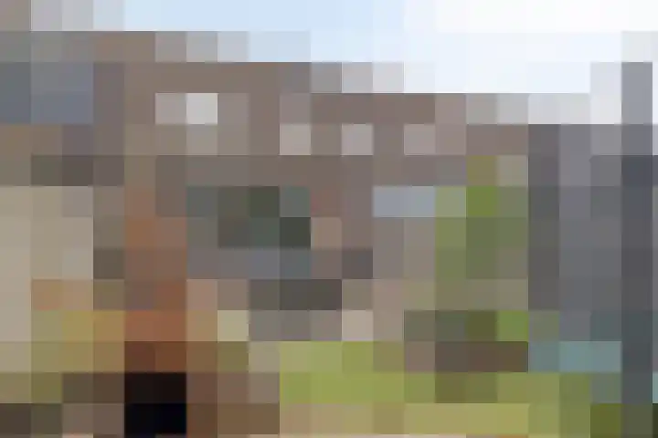 Rolklaver 136 Deventer thumbnail 22