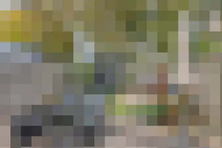 Rolklaver 136 Deventer thumbnail 23