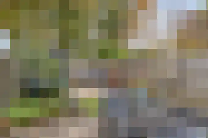 Rolklaver 136 Deventer thumbnail 24