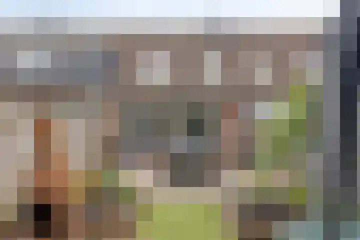 Rolklaver 136 Deventer thumbnail 25