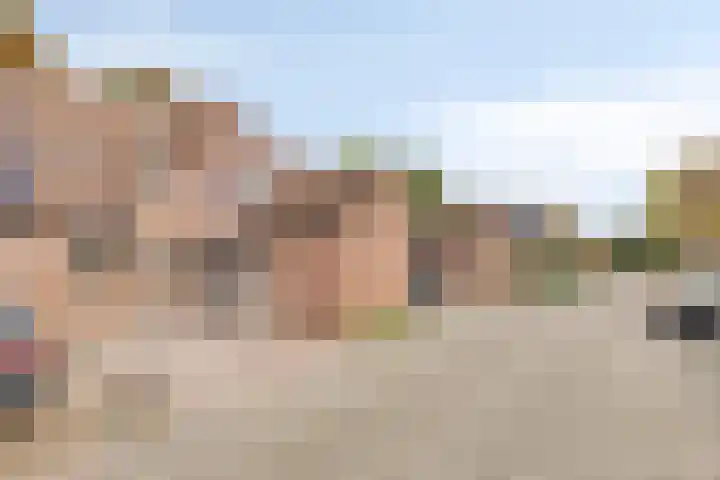 Rolklaver 136 Deventer thumbnail 27