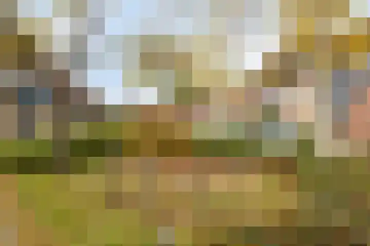 Rolklaver 136 Deventer thumbnail 28
