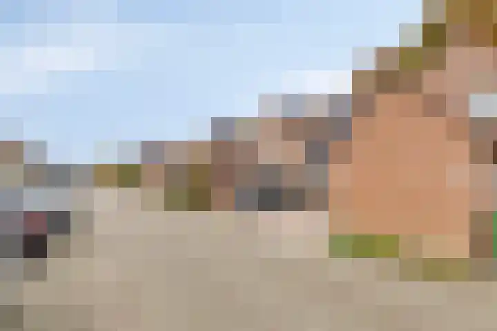 Rolklaver 136 Deventer thumbnail 29