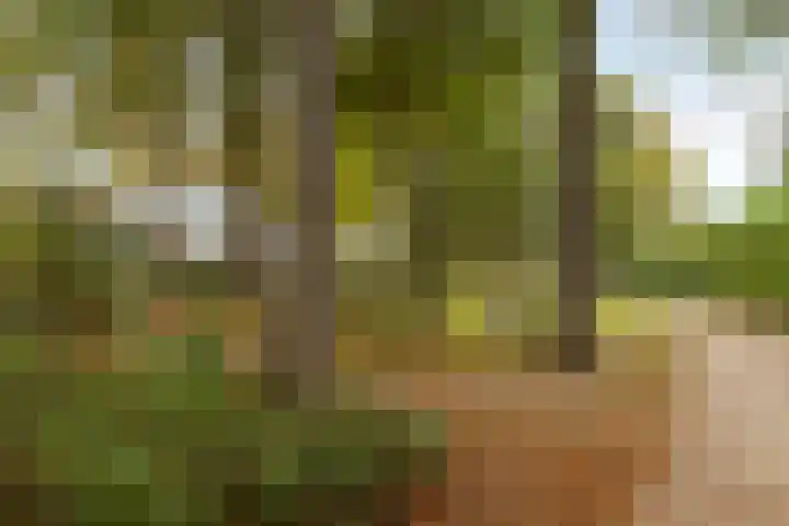 Rolklaver 136 Deventer thumbnail 30