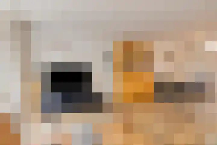 Rolklaver 136 Deventer thumbnail 4