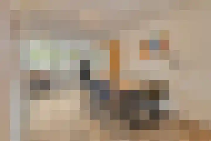 Rolklaver 136 Deventer thumbnail 5