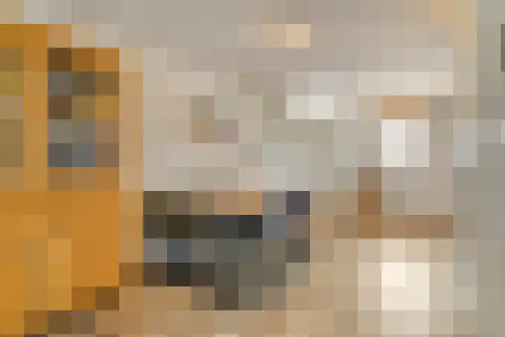 Rolklaver 136 Deventer thumbnail 6