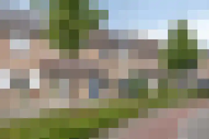 Rolklaver 146 Kampen thumbnail 11
