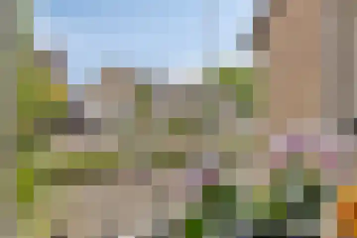 Rolklaver 146 Kampen thumbnail 27