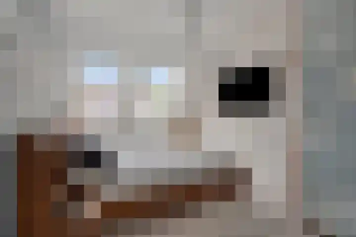 Rolklaver 146 Kampen thumbnail 31