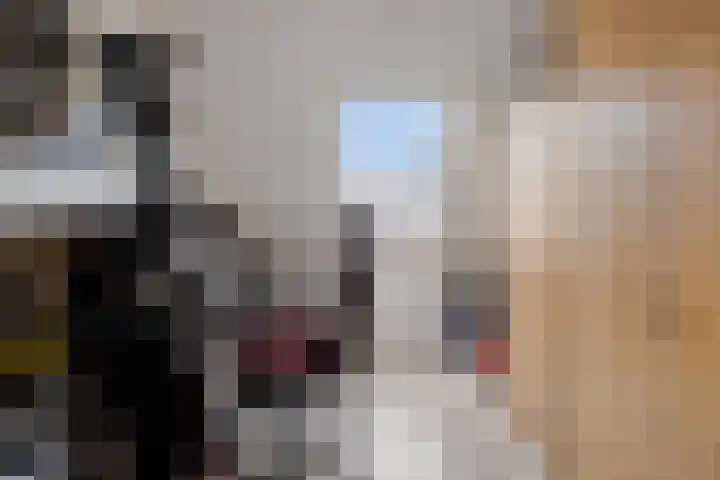 Rolklaver 146 Kampen thumbnail 36