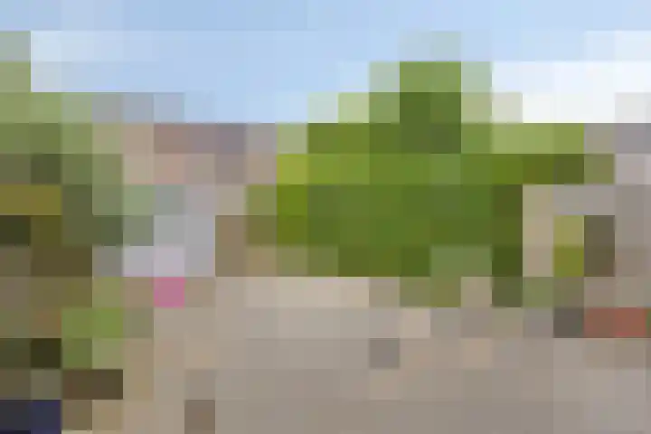Rolklaver 146 Kampen thumbnail 42