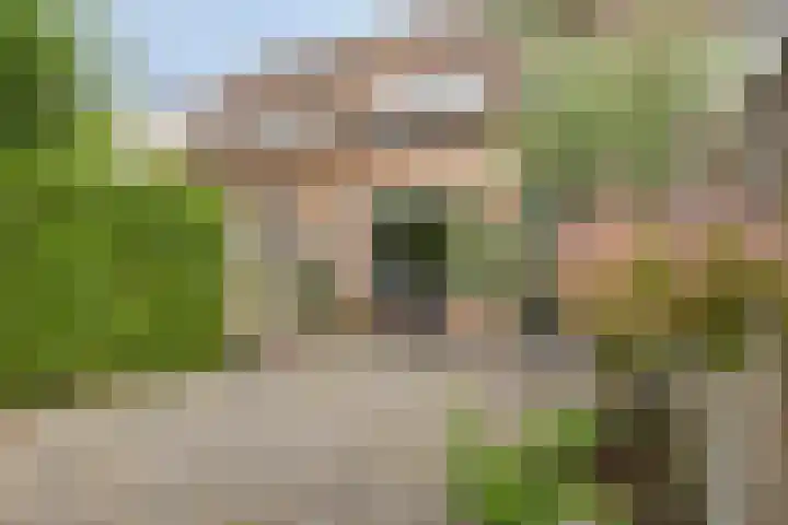 Rolklaver 146 Kampen thumbnail 45