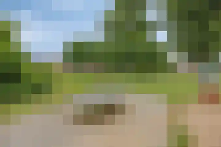 Rolklaver 146 Kampen thumbnail 48