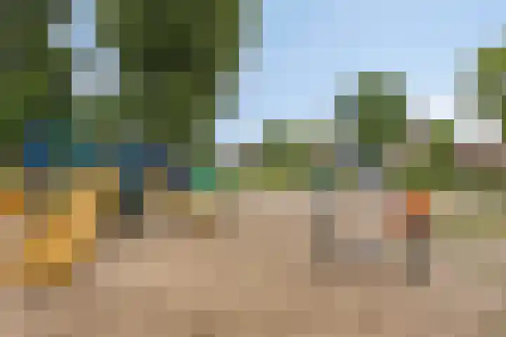 Rolklaver 146 Kampen thumbnail 49