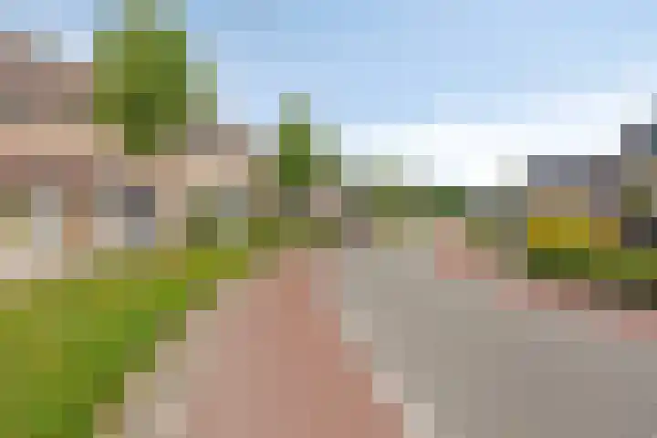 Rolklaver 146 Kampen thumbnail 8