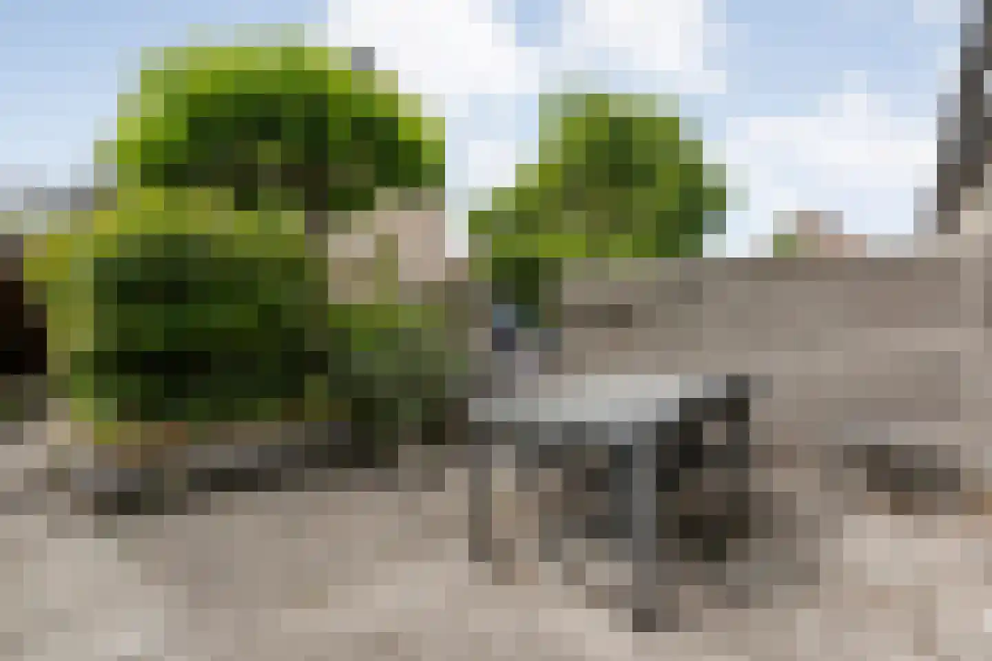 Rolklaver 163 Kampen thumbnail 30
