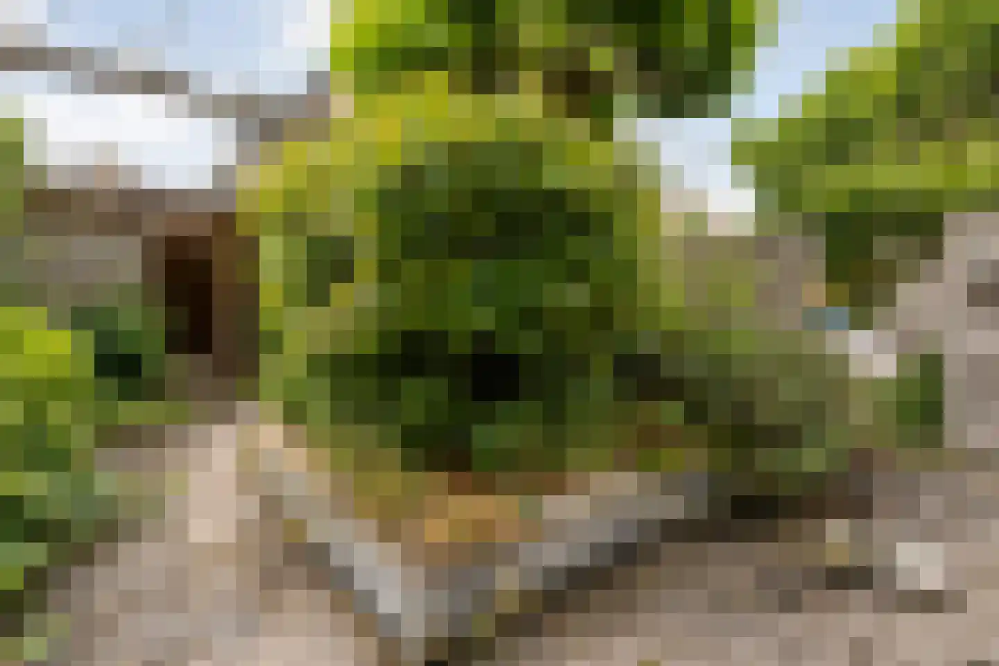 Rolklaver 163 Kampen thumbnail 32