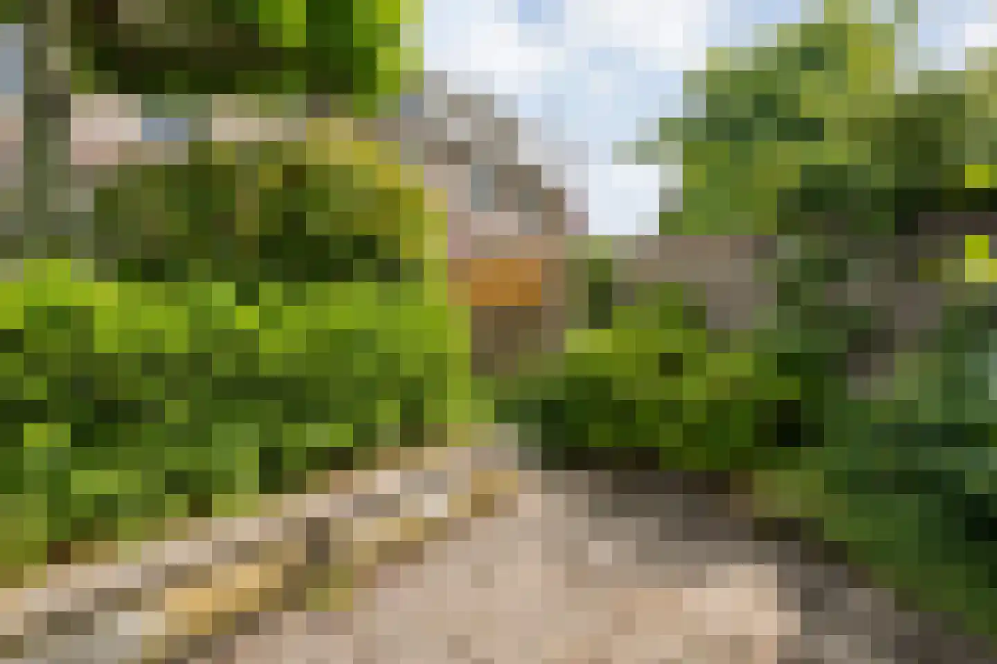 Rolklaver 163 Kampen thumbnail 33