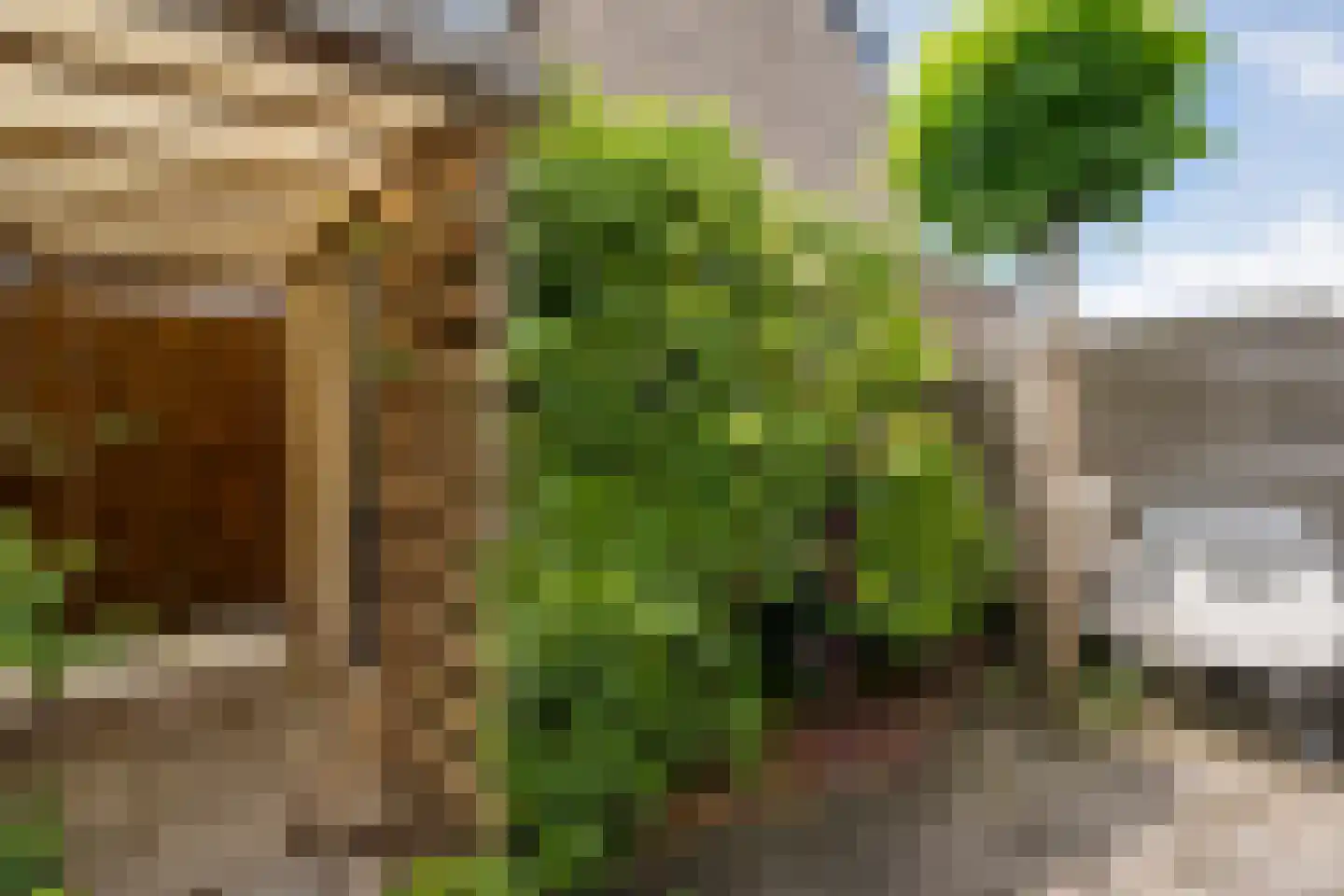 Rolklaver 163 Kampen thumbnail 34