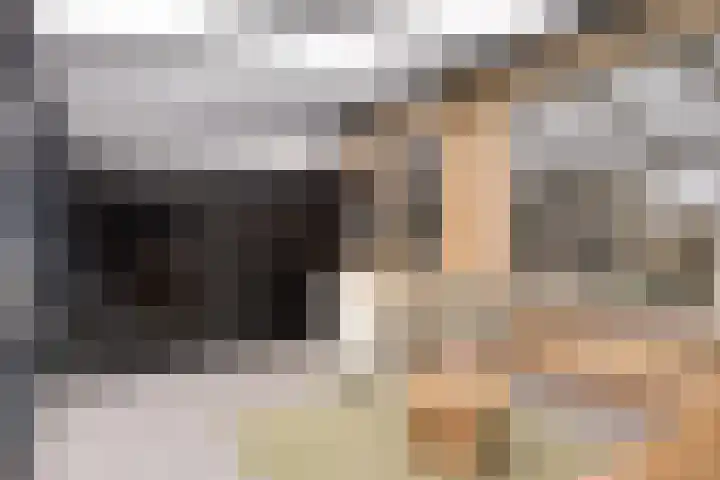 Rolklaver 183 Kampen thumbnail 11