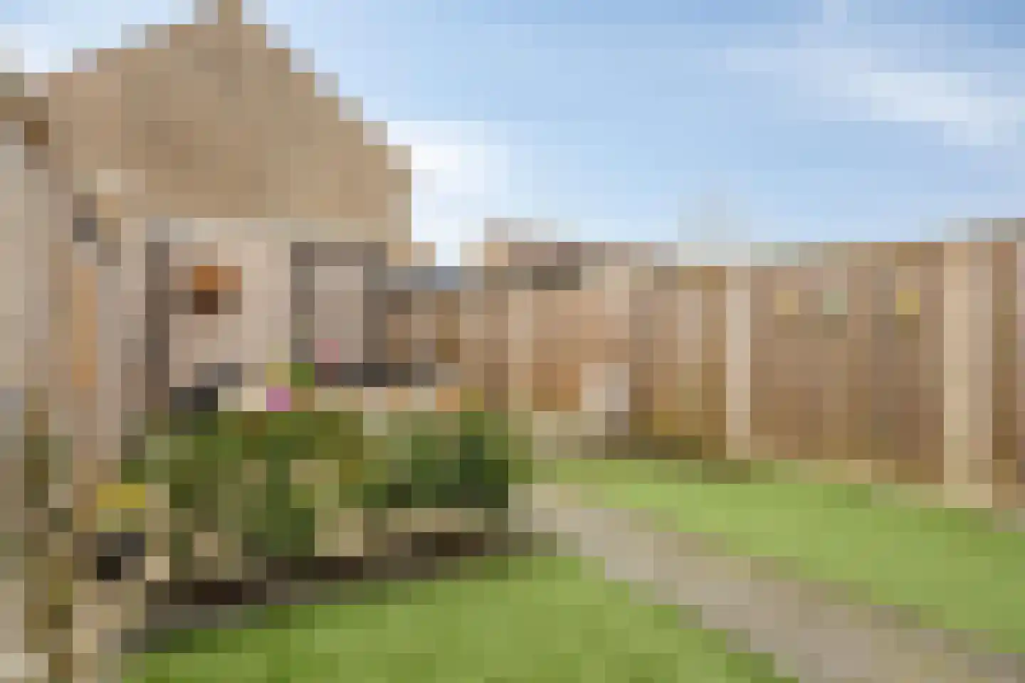 Rolklaver 183 Kampen thumbnail 26