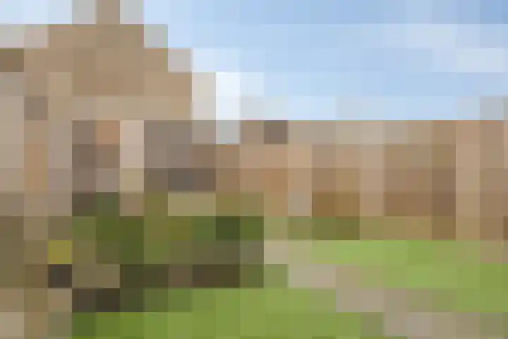 Rolklaver 183 Kampen thumbnail 26