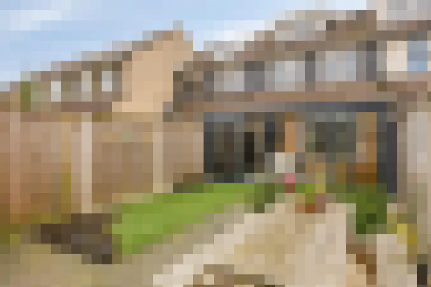 Rolklaver 183 Kampen thumbnail 29