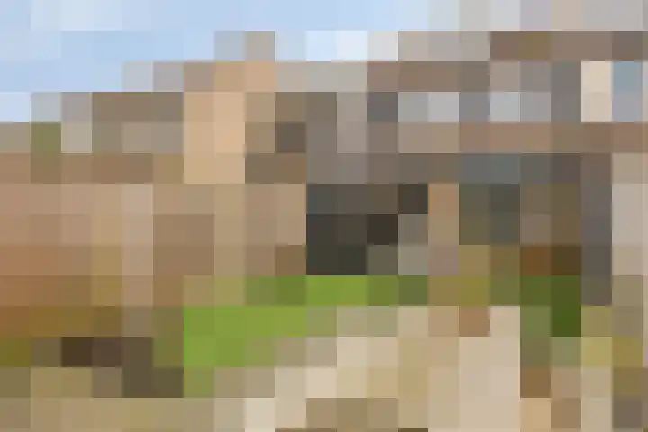Rolklaver 183 Kampen thumbnail 29
