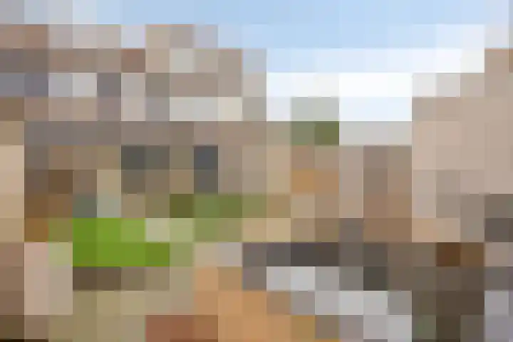 Rolklaver 183 Kampen thumbnail 30