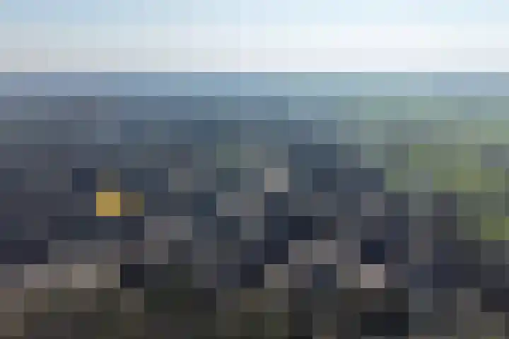 Rolklaver 183 Kampen thumbnail 35