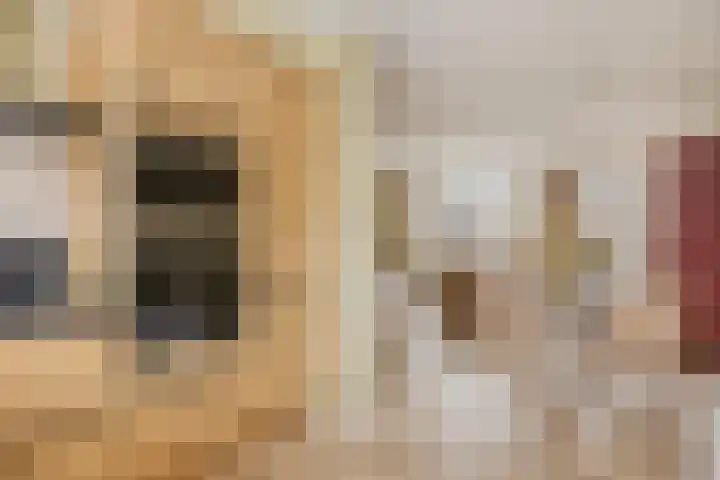 Rolklaver 183 Kampen thumbnail 9