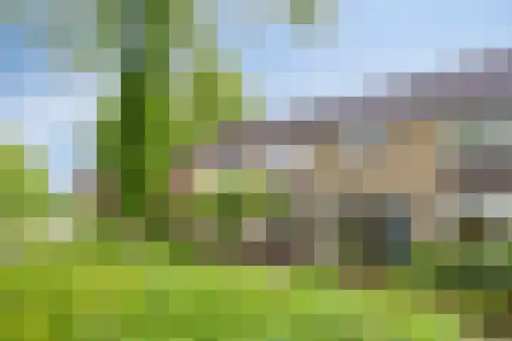 Rolklaver 6 dans Kampen