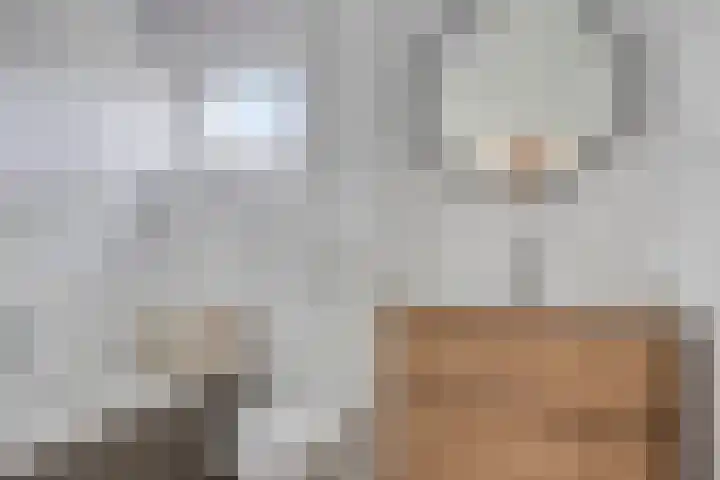 Rolklaver 6 Kampen thumbnail 27