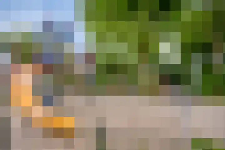 Rolklaver 6 Kampen thumbnail 37