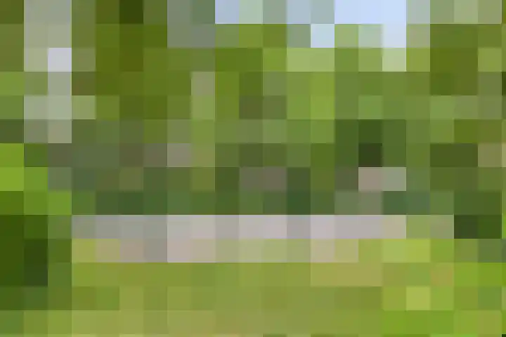 Rolklaver 6 Kampen thumbnail 39