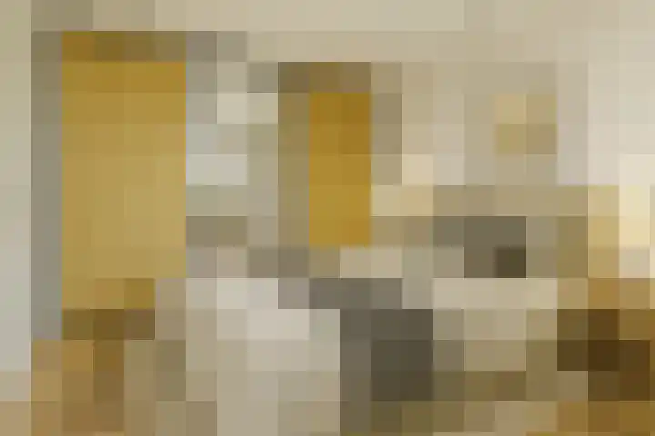 Rolklaver 95 Rotterdam thumbnail 16
