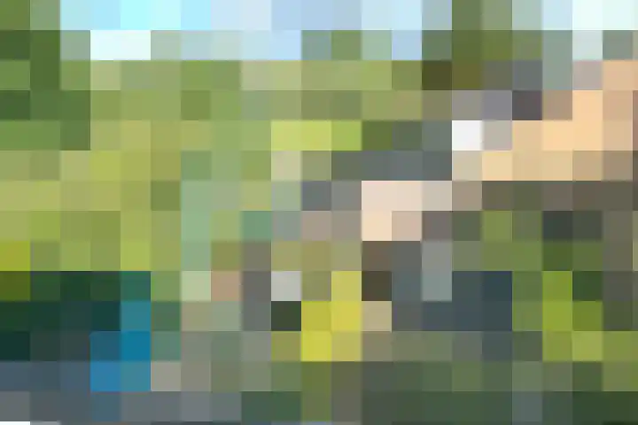 Rolklaver 95 Rotterdam thumbnail 27