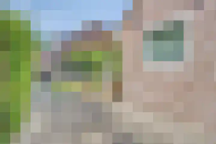 Rolklaver 95 Rotterdam thumbnail 29