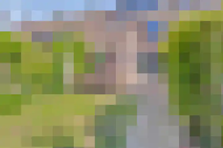 Rolklaver 95 Rotterdam thumbnail 30