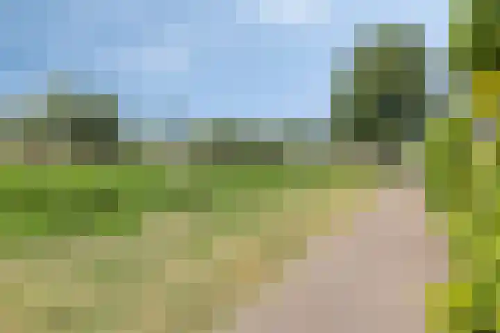 Rolklaver 95 Rotterdam thumbnail 31