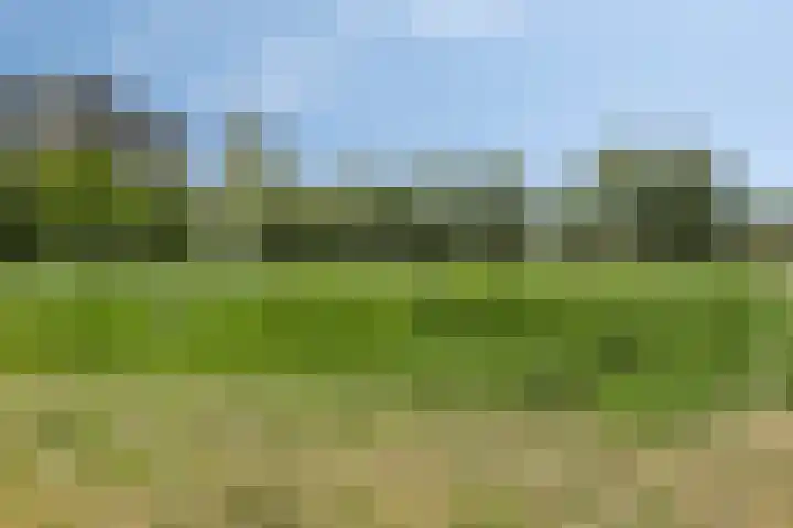 Rolklaver 95 Rotterdam thumbnail 32